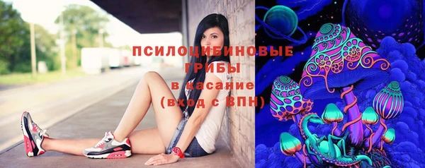 эйфоретик Баксан