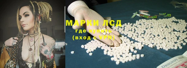 эйфоретик Баксан