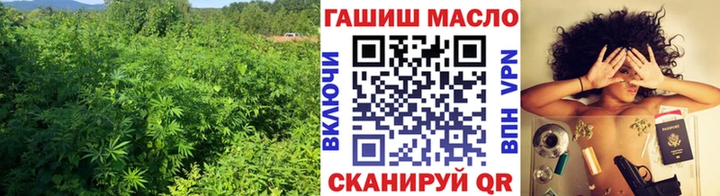 kraken вход  Верея  Дистиллят ТГК гашишное масло  где найти наркотики 