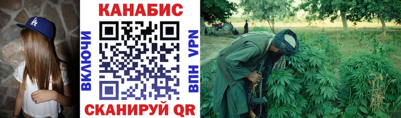 Бошки Шишки гибрид  Верея 